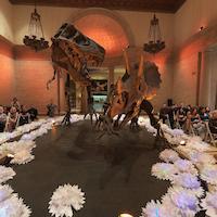 Wedding at museum of natural history, LA