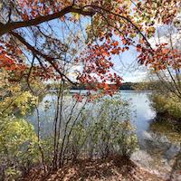 Walden_Pond